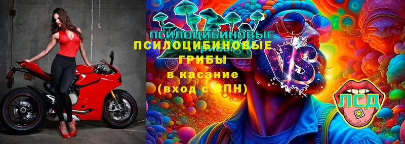 blacksprut зеркало  сайты даркнета телеграм  Ульяновск  Галлюциногенные грибы MAGIC MUSHROOMS  как найти  